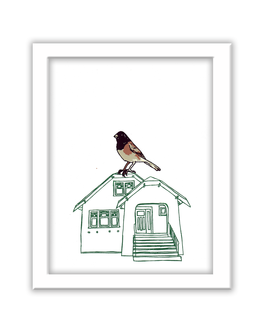 junco-bird-house-janine-schroedter