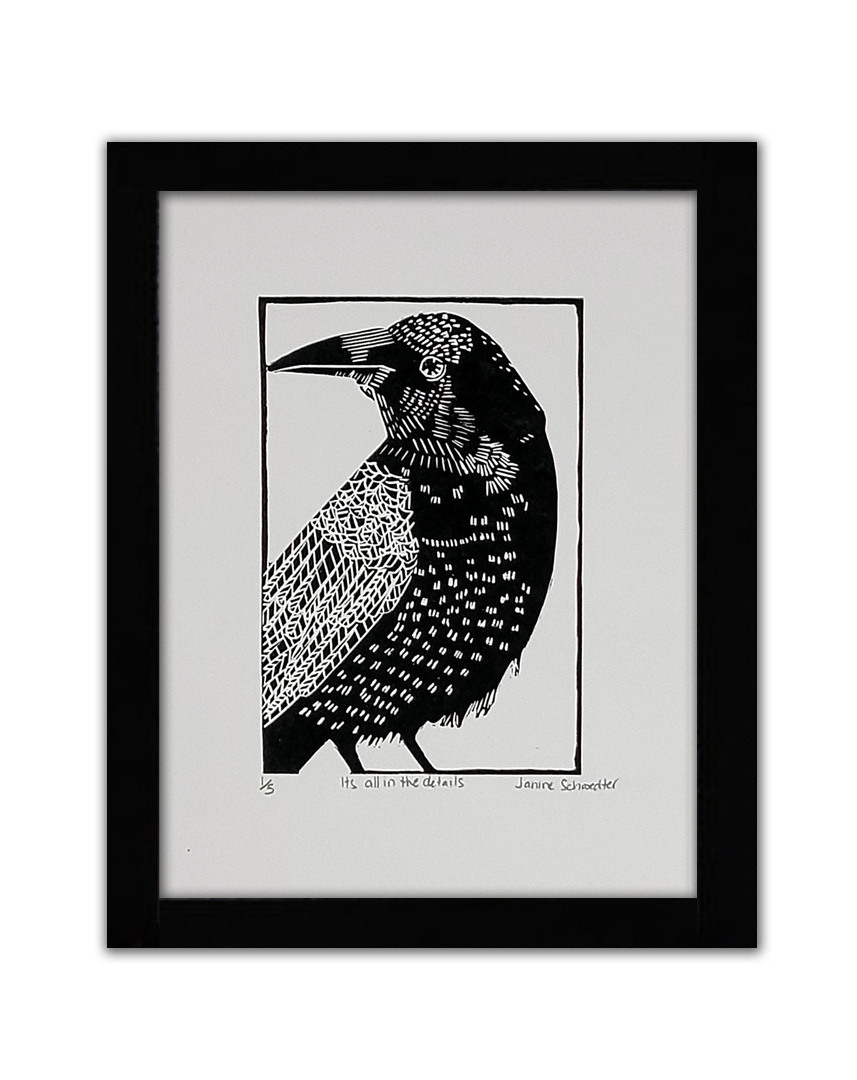 A black linoprint of a bird looking over its shoulder with several different lines of detail in its feathers