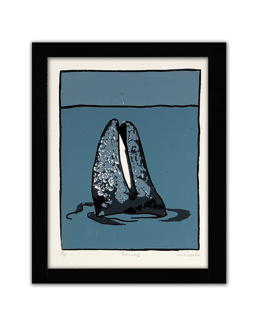 A screenprint of a grey whale spyhopping