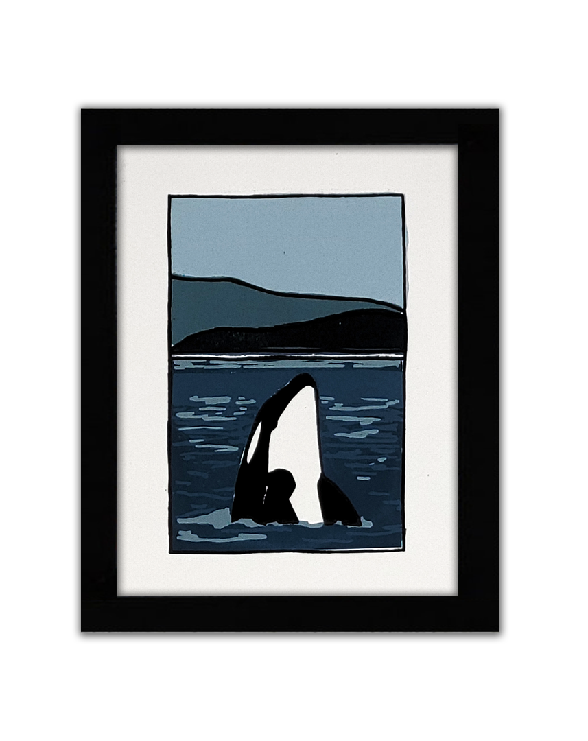 A screenprint of a killer whale breaching the water