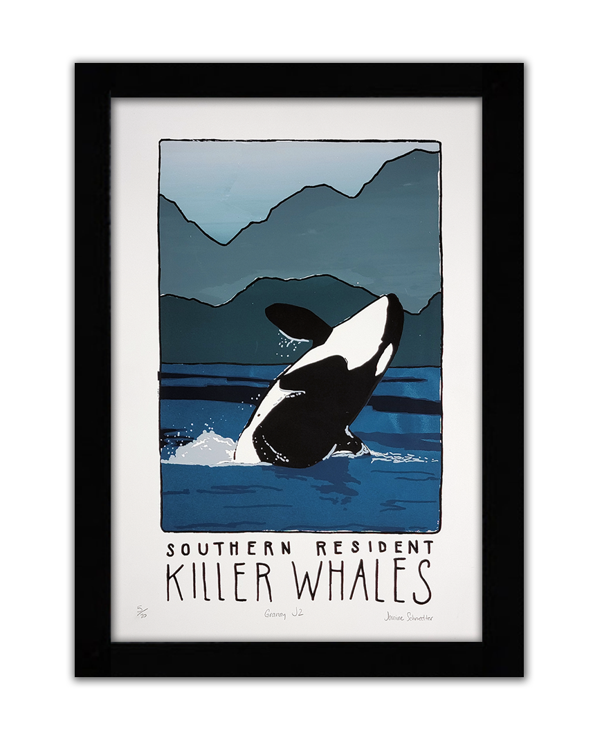 A screenprint of a killerwhale jumping out of the water with the words southern resident killer whales along the bottom