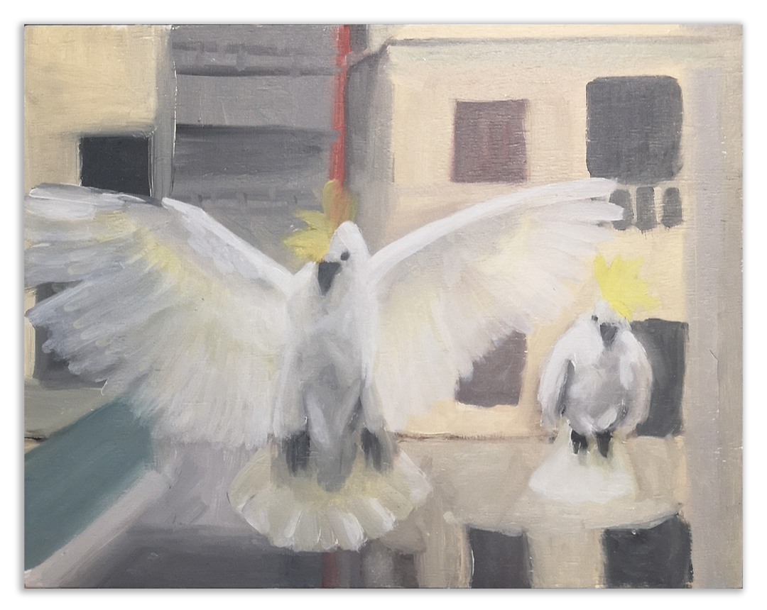 A painting of two Sulphur crested cockatoos on a building scape. one has its wings open