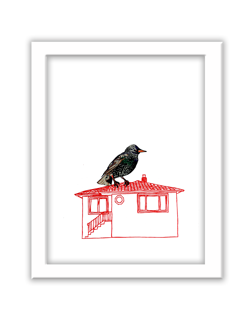 a screenprint of a starling perched atop a red line drawing of a house